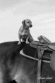 /album/fekete-feher-black-white/img-0305-masolata-masolata-jpg/
